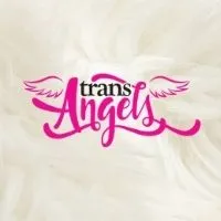 TransAngels TransAngels avatar