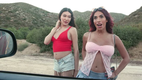 Devil's Tgirls: Lusty Ladybugs Lured by Love