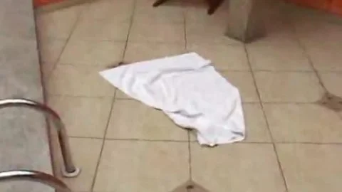 Two brunette Latin taut admirable Body boobs wobblers ladyboy Porn trannies tranny Porn trannies Ladyboy Lad By Lassast956