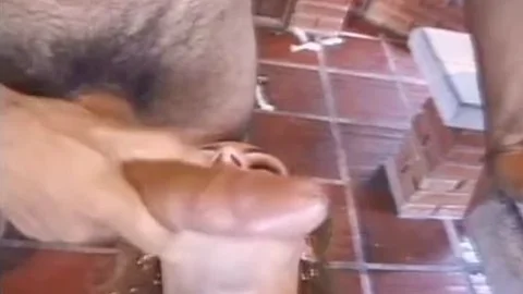 kinky Curious Hunk anal encounter In shelady Heaven